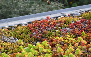 the cost of Miles Platting green roof installation