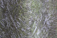 Miles Platting fibreglass roof work